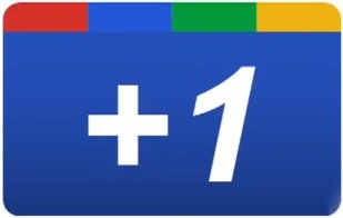 Google +1